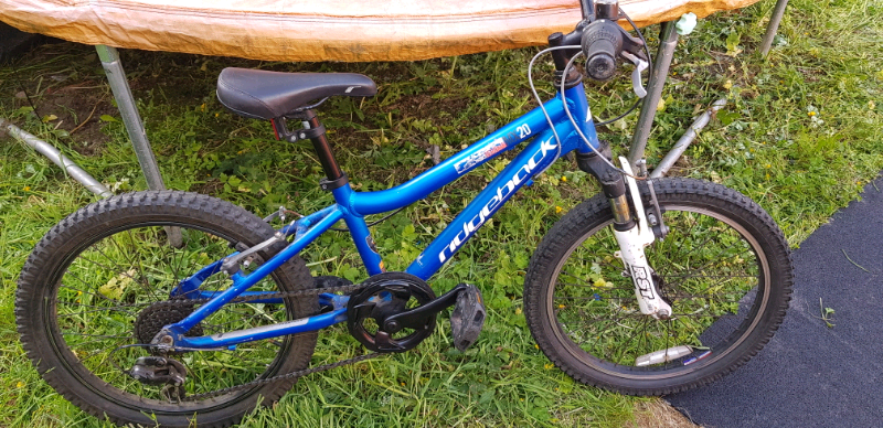ridgeback mx20 terrain